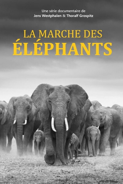 Póster de Elephants Up Close