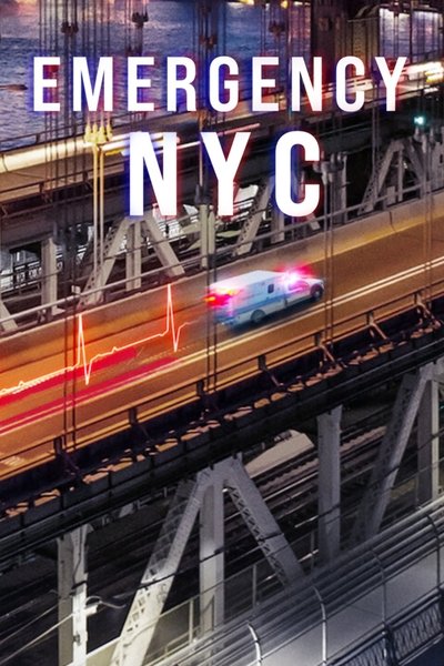 Póster de Emergencias: Nueva York