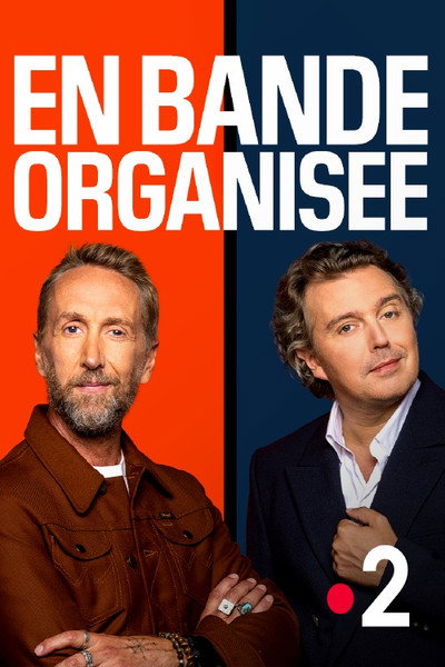 Póster de En bande organisée