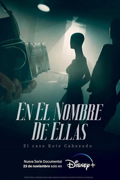 Póster de En el nombre de ellas: El caso Kote Cabezudo