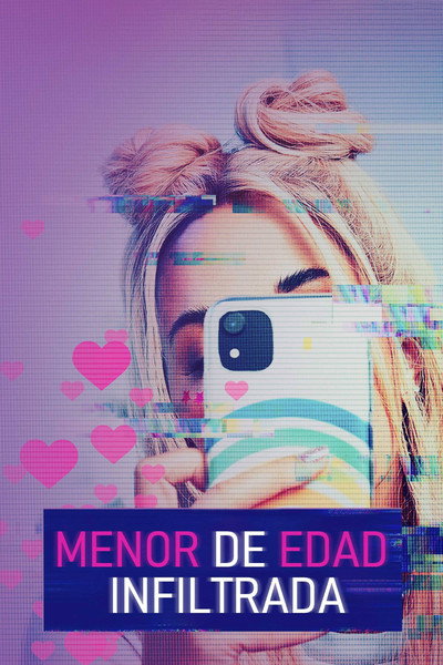 Póster de Encubierta en la Red