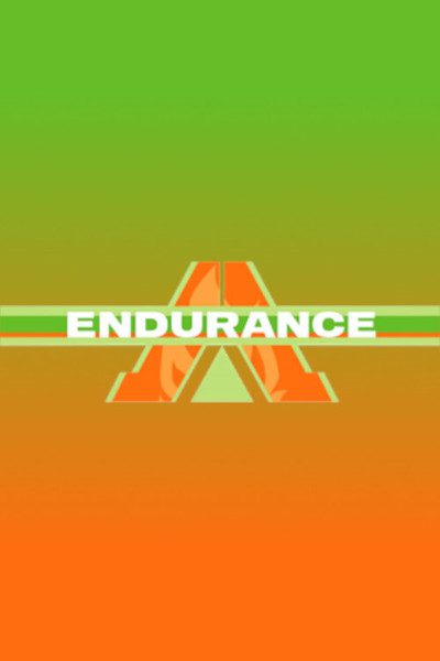 Póster de Endurance
