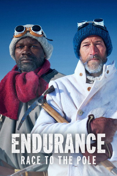 Póster de Endurance: Race to the Pole