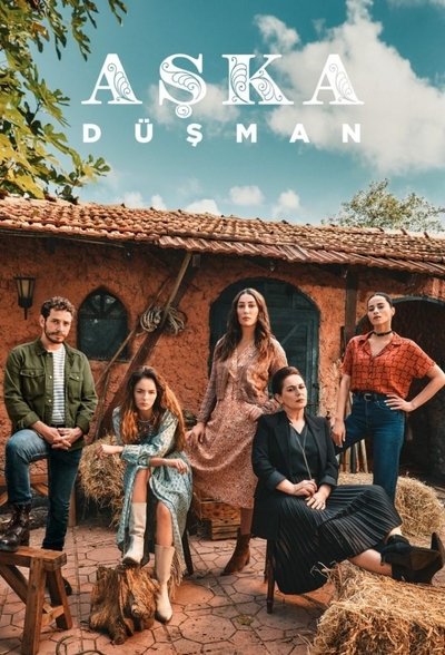 Póster de Enemy of Love