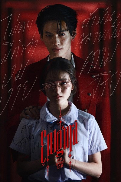 Póster de Enigma