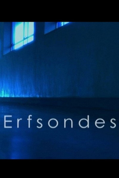 Póster de Erfsondes