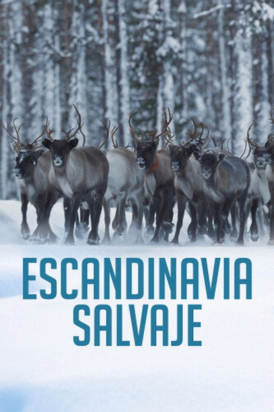Póster de Escandinavia salvaje