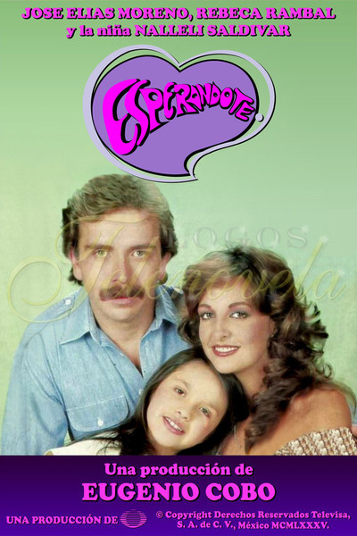 Póster de Esperándote