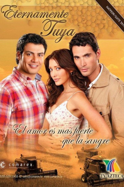 Póster de Eternamente tuya