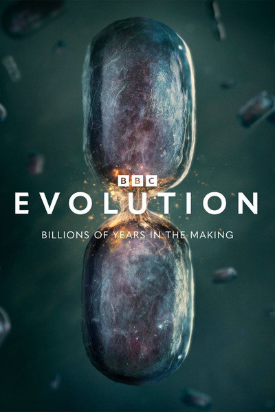 Póster de Evolution