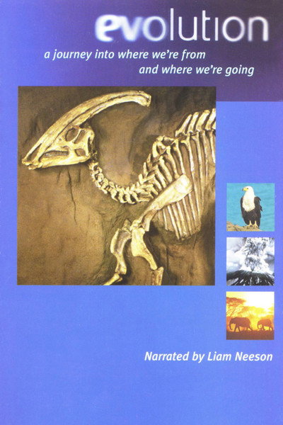 Póster de Evolution