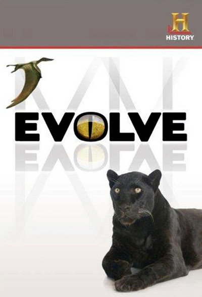 Póster de Evolve