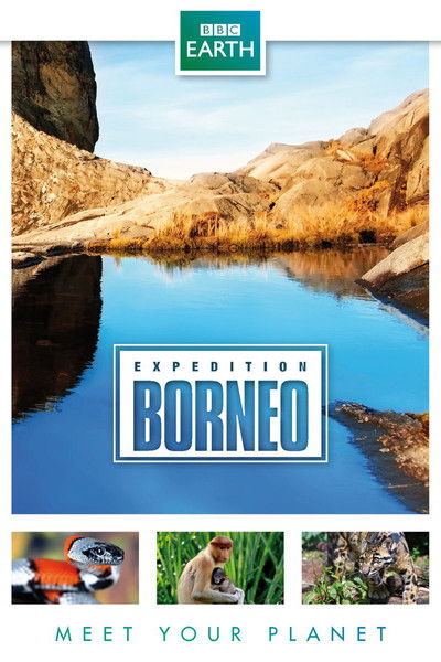 Póster de Expedition Borneo