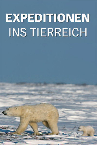 Póster de Expeditionen ins Tierreich