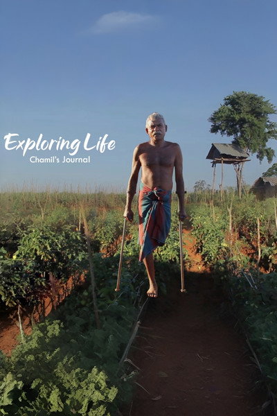 Póster de Exploring Life - Chamil's Journal