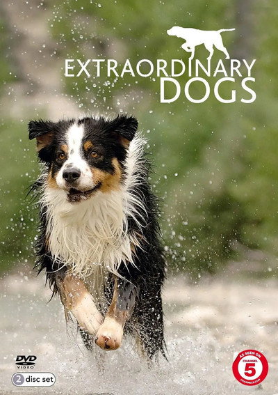 Póster de Extraordinary Dogs
