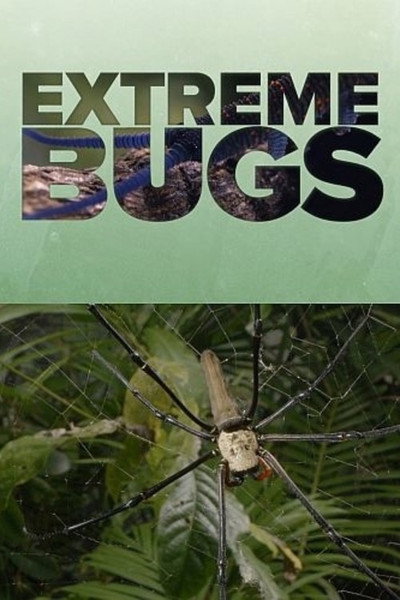 Póster de Extreme Bugs