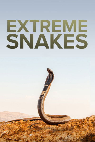Póster de Extreme Snakes