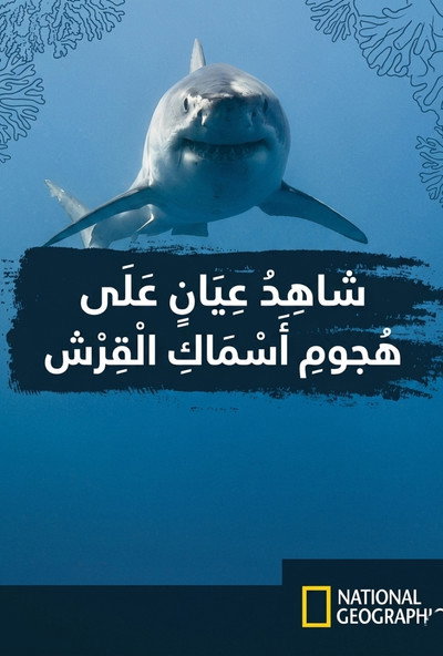 Póster de Eyewitness: Shark Attack