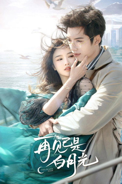 Póster de Fall in Love Again