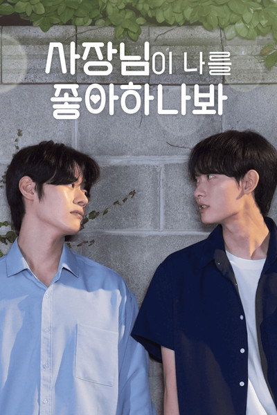 Póster de Falling for My Boss