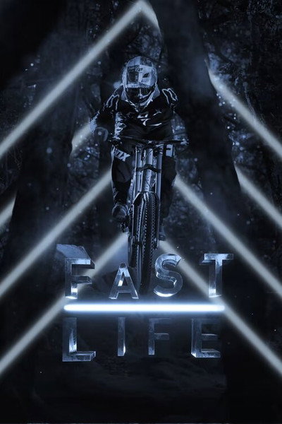 Póster de Fast Life