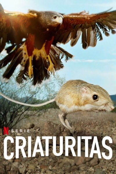 Póster de Fauna minúscula