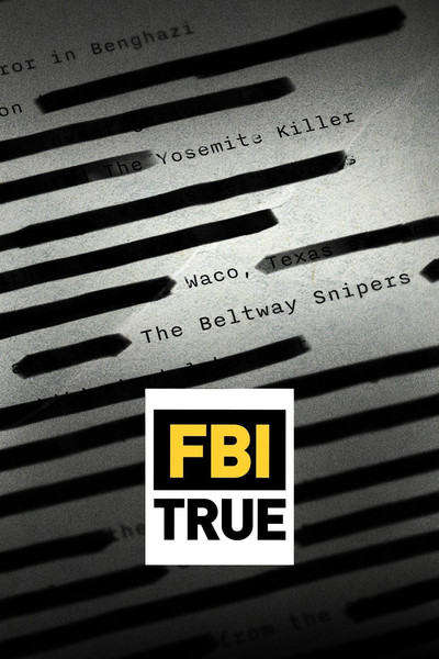 Póster de FBI True