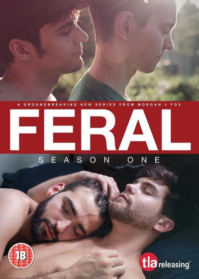 Póster de Feral