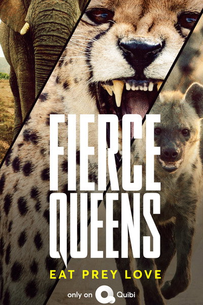 Póster de Fierce Queens