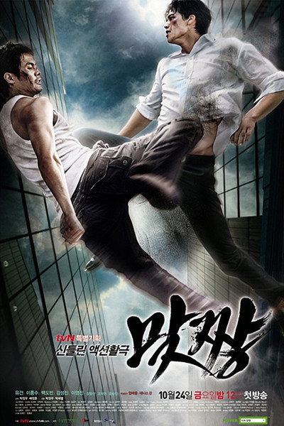 Póster de Fight
