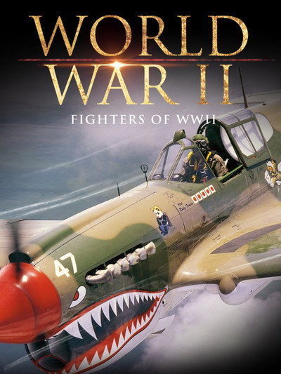Póster de Fighters of WWII