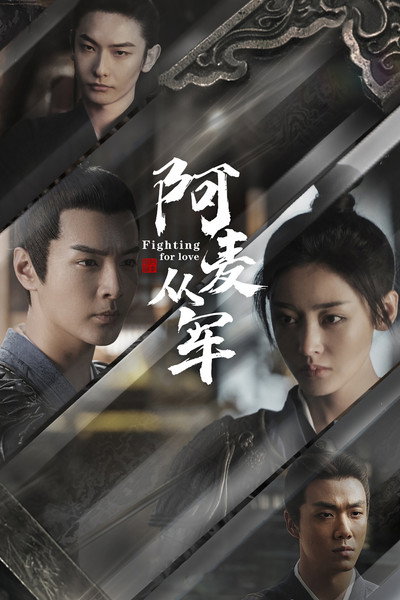 Póster de Fighting for Love