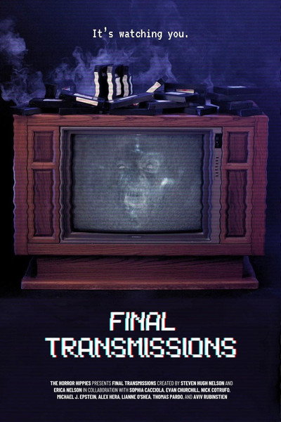 Póster de Final Transmissions