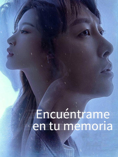 Póster de Find Me in Your Memory