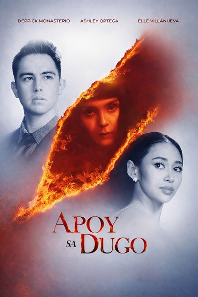 Póster de Fire on Blood