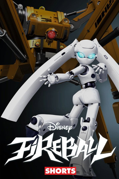 Póster de Fireball