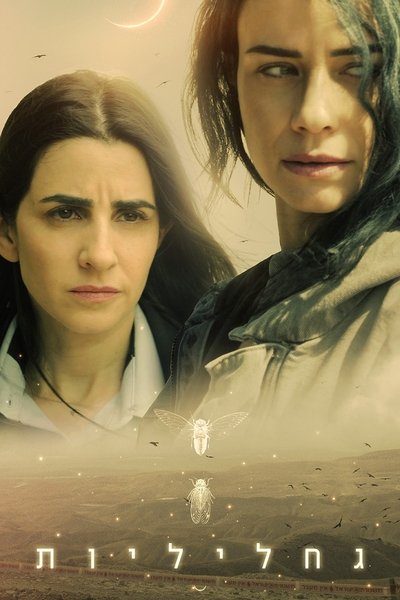 Póster de Fireflies