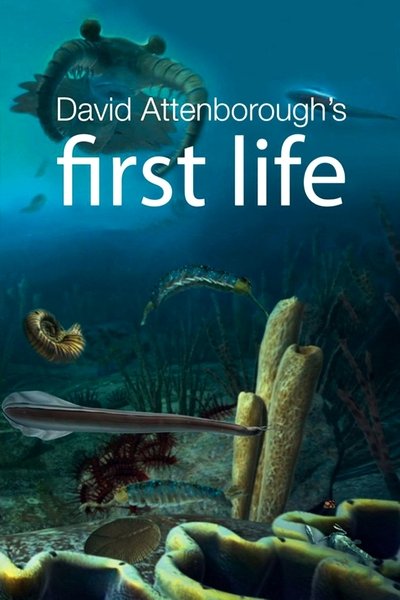 Póster de First Life