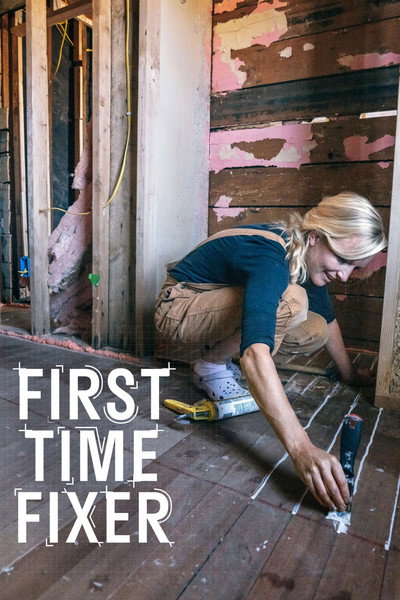 Póster de First Time Fixer