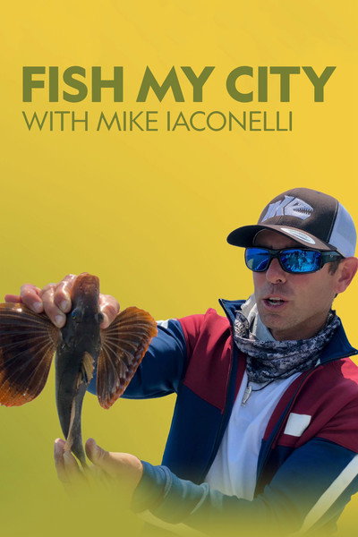 Póster de Fish My City