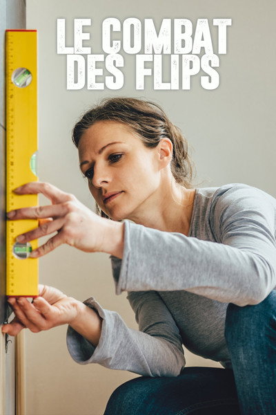 Póster de Flip Wars