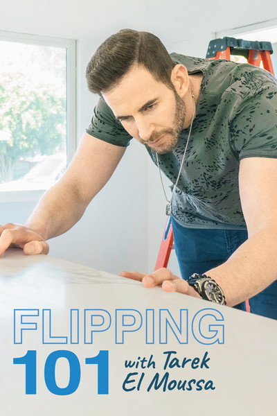 Póster de Flipping 101