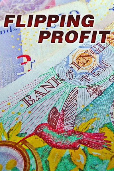 Póster de Flipping Profit