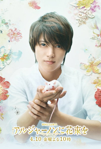 Póster de Flowers for Algernon