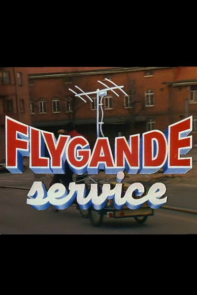 Póster de Flygande service