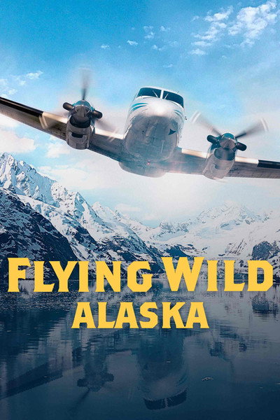 Póster de Flying Wild Alaska