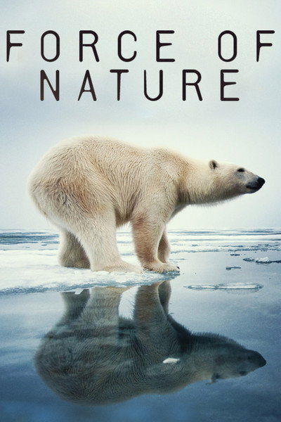 Póster de Force of Nature