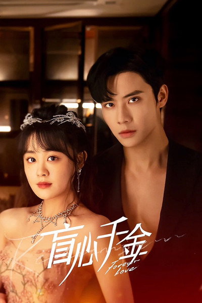 Póster de Forever Love