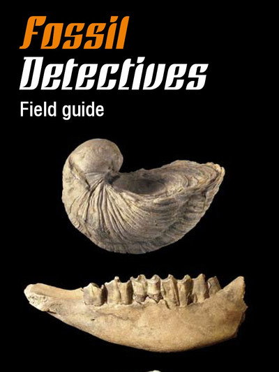 Póster de Fossil Detectives
